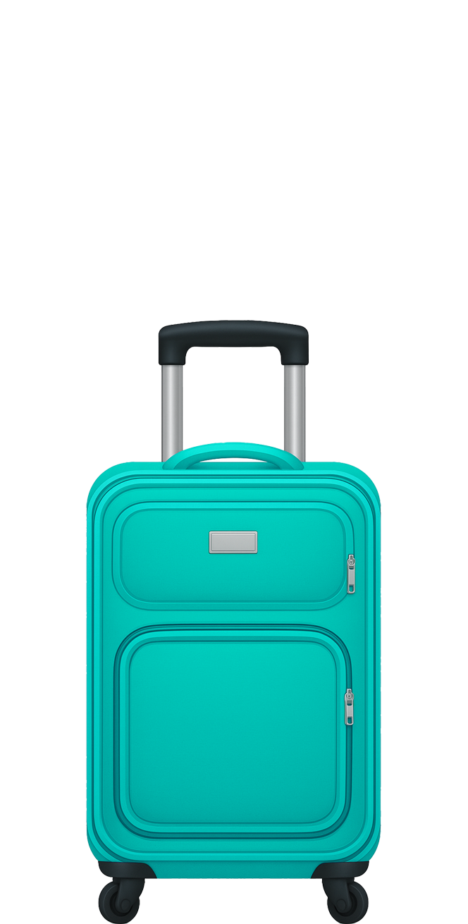Small Suitcase